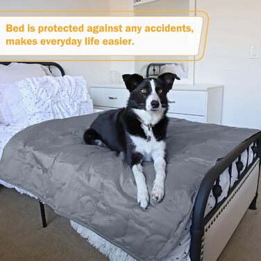 Водонепроникний килимок для собак Pawsee, антиковзкий, 150 x 120 см, сірий. Захисний килимок для собак, диван, собачий софа, для дому та подорожей, легко миється. Підходить для великих собак та котів.