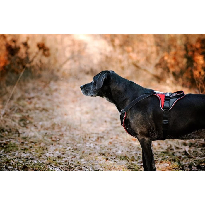 Миска для собак JUIUS K-9 IDC, рожево-сіра, розмір XS