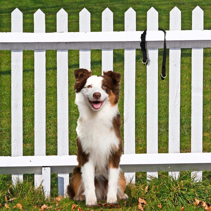 PetSafe KeepSafe міцне нашийник для собак (червоний, Small, ширина 1.9 см)