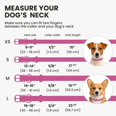 Нашийник для собак BRONZEDOG з шкіри, з QR-ідентифікатором (рожевий) - S: 35-41 см, XS: 23-28 см