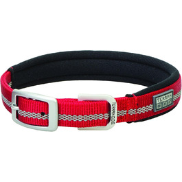 колір: гниль