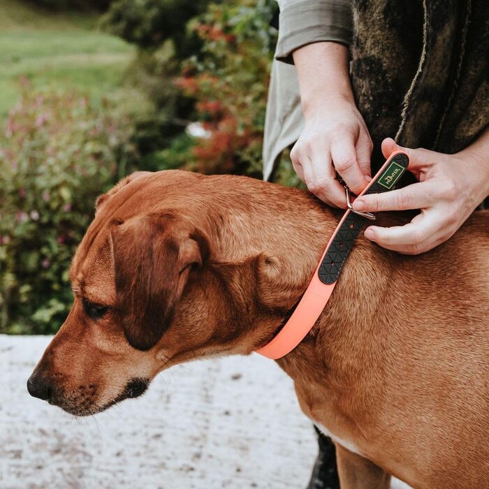 Нашийник для собак HUNTER CONVENIENCE COMFORT, неоновий помаранчевий, з неопреновою підкладкою, стійкий до погодних умов, зручний у догляді, для спорту та відпочинку, розмір 50