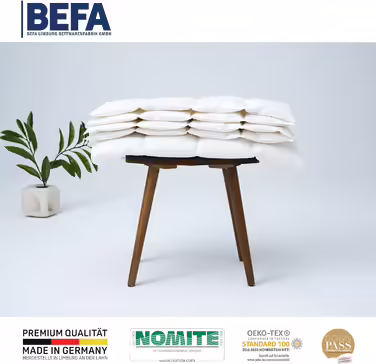 Літня пухова ковдра BEFA NATUR 155x220 см з 90% гусячого пуху, 10% пера, для алергіків, сертифікат Öko-Tex 100, Downpass, Німеччина (2 шт.)