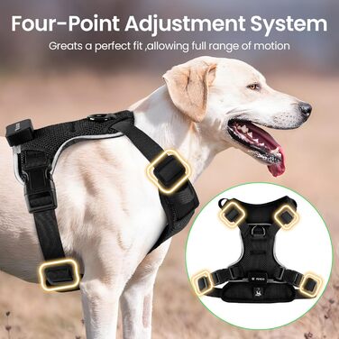 Світлодіодне шлейка для собак з підсвічуванням LED, перезаряджувана, для малих, середніх та великих собак, світловідбиваюча, регульована, XL (Чорний, Small)