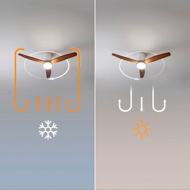 Вентилятор стельовий Cecotec EnergySilence Aero 5600 Classic Gold/DarkWood з підсвіткою та пультом ДУ, 40 Вт, LED, 6 швидкостей, режим зима/літо