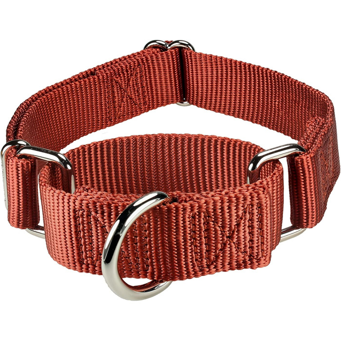 Нашийник для собак Mikivery Marraht: стильний металевий нашийник для тварин, підходить для собак малого, середнього та великого розміру (35.5-53 см, Колір: Коричневий)