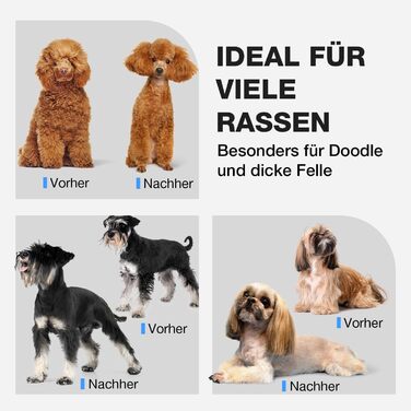 Професійна машинка для стрижки собак Leise - для густого та кучерявого хутра, з нержавіючої сталі