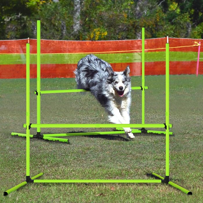 Набір для аджиліті собак 4-TLG, тренування з доріжками, регульована висота, з сумкою, PVC, зелений