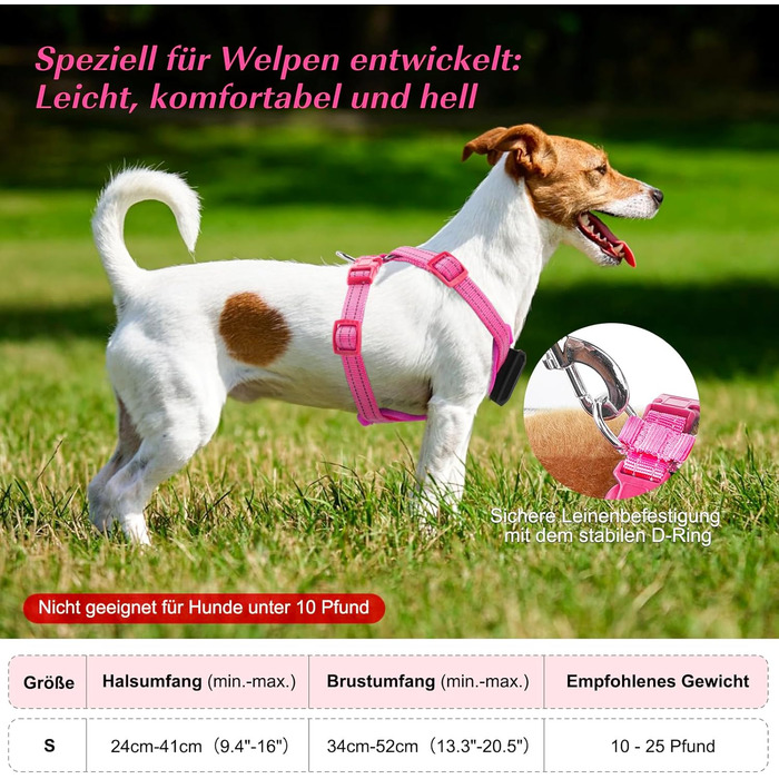 Світловідбиваючий нашийник для собак PZRLit з підзарядкою, для маленьких собак, XS, LED, для безпечних прогулянок вночі - Рожевий