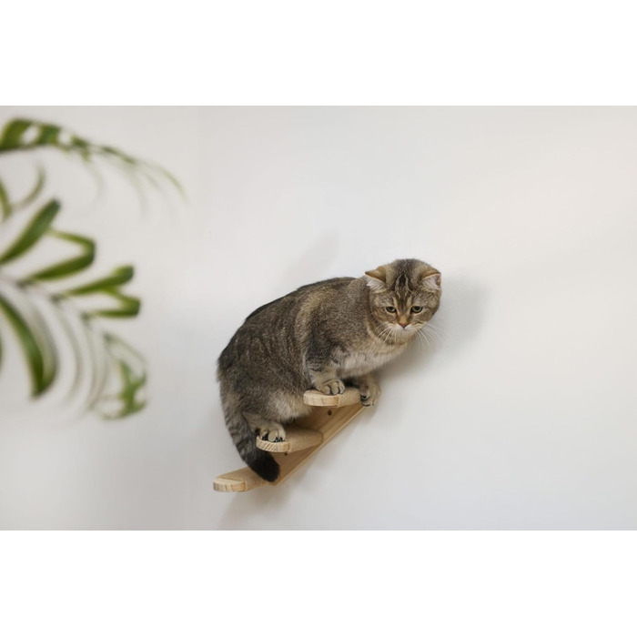 Гамак для котів Kerbl Timber (натуральний/тауп, 38 x 33,5 x 16 см, до 6 кг), м'який плюш, для кріплення на стіну, знімний чохол, іграшка для котів, аксесуари для тварин