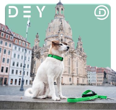 Преміум нашийник для собак DEY Air Mesh | Регульований | для малих, середніх та великих собак | багато кольорів та розмірів | нашийник для собак та котів | нашийники для собак | нашийник для цуценят | Рожевий, M [M/L] - 2,5 x 34-49 см Рожевий