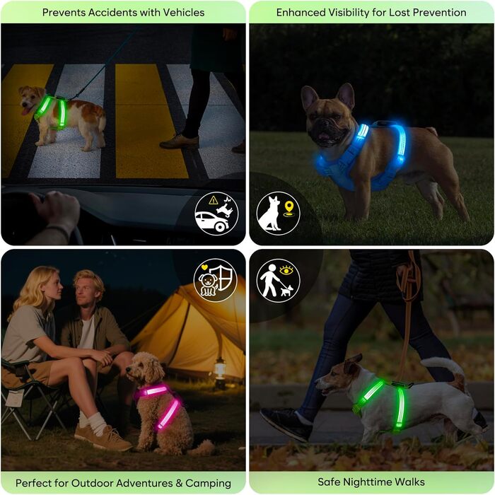 Світловідбиваючий LED нашийник для собак, USB-C, для маленьких собак, XS-S, для прогулянок вночі