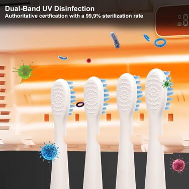 UV Toothbrush Sanitizer with 6 Toothbrush Brush Slots, UV Disinfection Toothbrush Holder with Drying, 2000mAh USB Rechargeable Toothbrush Sanitizer Holder Wall Mounted with 3 Modes for Bathrooms (White)