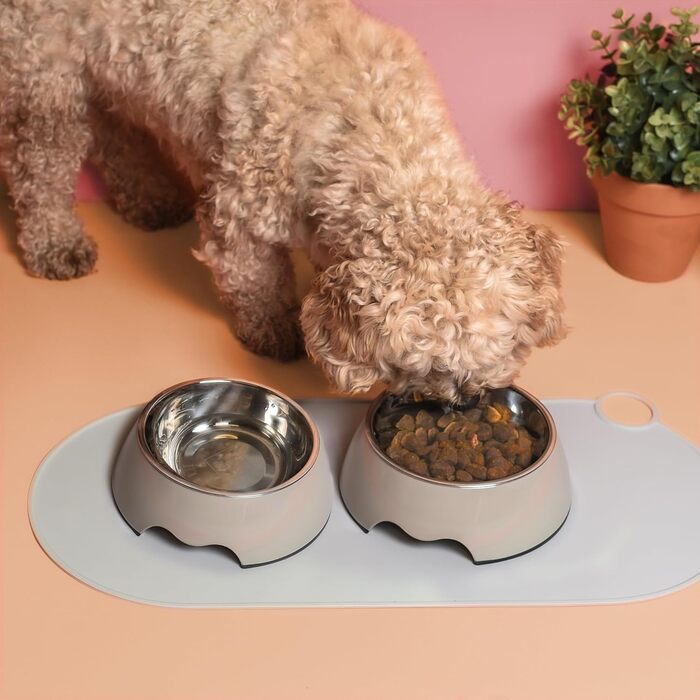 Набір мисок для собак та котів ne&no® Futternapf (2 шт.) середнього розміру (350 мл) | Нековзні миски для собак та котів | Миска для собак (M, Taupe)