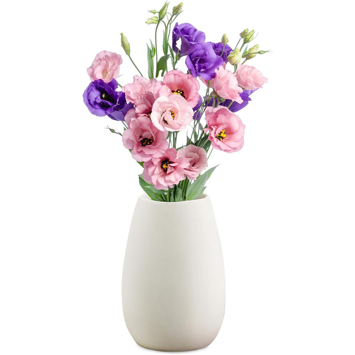 Керамічна ваза RANJIMA біла, ваза для квітів, декор, сучасний стиль, кругла, для пампас трави, 17 см, для дому та офісу