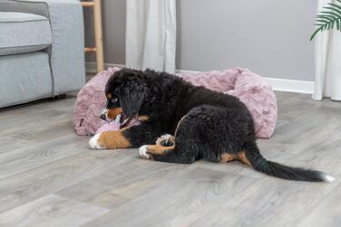 Ортопедичне собаче ліжко TRIXIE Vital Loki, рожевий, 65 x 50 см - м'яке ліжко з Memory Foam для собак, захищає суглоби