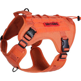 колір: помаранчевий