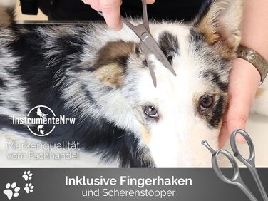 Ножиці для стрижки собак Solingen, ножиці для догляду за шерстю, ножиці для собак та котів, 16,4 см, Made in Germany