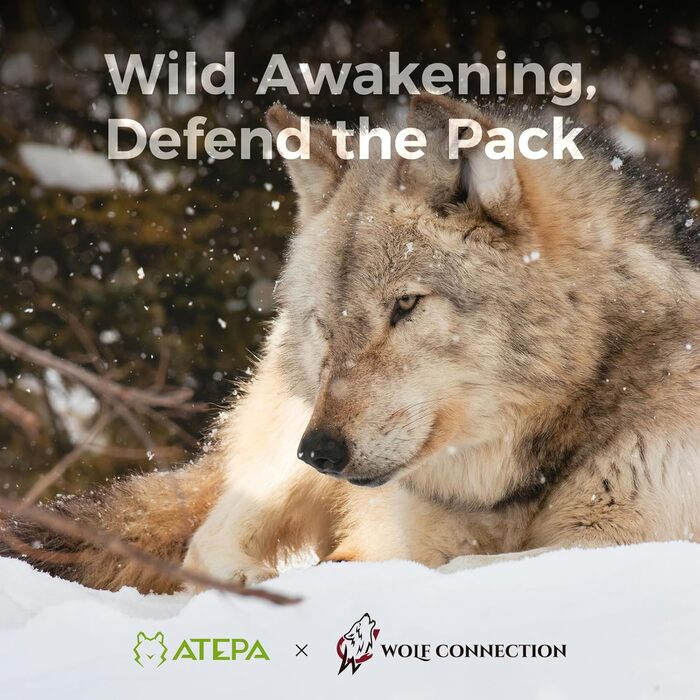 Каремат туристичний ATEPA ThermAir Ultraleicht - ізольований, 6R, R-значення 6.6, 7 камер, 11см товщини, блакитний