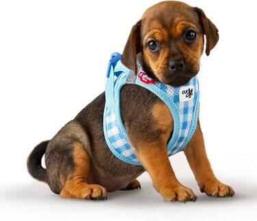 Шлейка для собак curli Clasp Air-Mesh, повідок M (Skyblue-Caro, XS)