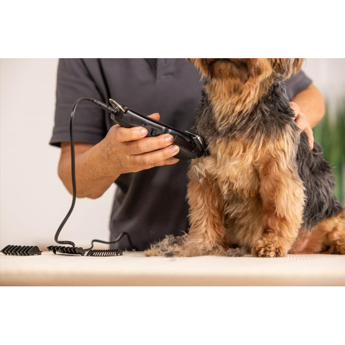 Машинка для стрижки собак Wahl 1400, комплект для догляду, чорна