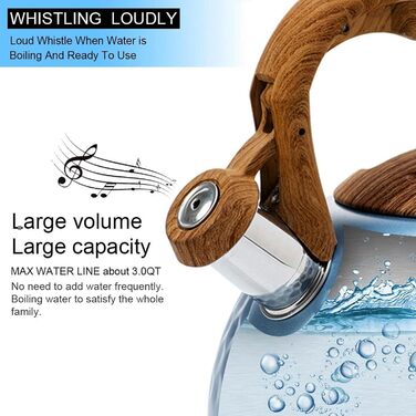 Чайник індукційний 3L з нержавіючої сталі з свистком, для плити, з дерев'яною ручкою, Off White