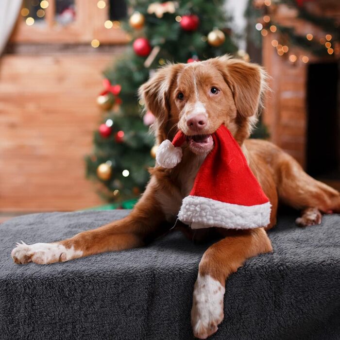 М'яка флісова підстилка для собак і котів Nobleza, 160 x 120 см (XXL 200 x 160 см), сіра