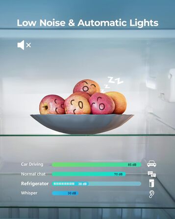 EUHOMY Міні холодильник 46L, компактний холодильник з регулюванням температури, тихий (38dB), енергоефективний для спальні, офісу, сріблястого та чорного кольорів