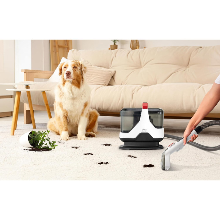 Пылесос Ufesa Eden 600 для миття та сушки, для автомобіля, килимів та диванів, з функцією миття вікон, 600 Вт, потужність всмоктування 15000 Kpa