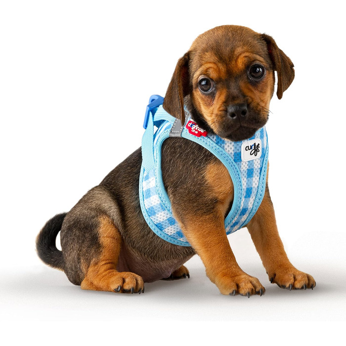 Шлейка для собак curli Clasp Air-Mesh, повідок M (Skyblue-Caro, XS)