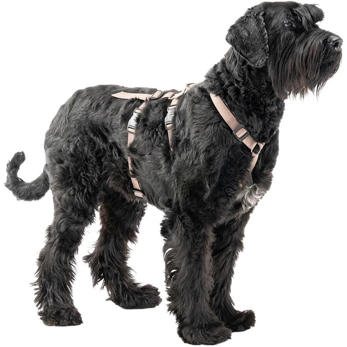 Шлейка для собак середнього розміру Ferplast Brave: надійна, з 6 застібками (колір: коричневий, розмір: LARGE)