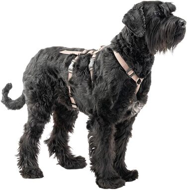 Шлейка для собак середнього розміру Ferplast Brave: надійна, з 6 застібками (колір: коричневий, розмір: LARGE)