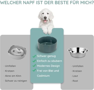 Керамічна миска для собак та котів SPUNKYJUNKY, 850 мл, темно-зелена (2 шт.)