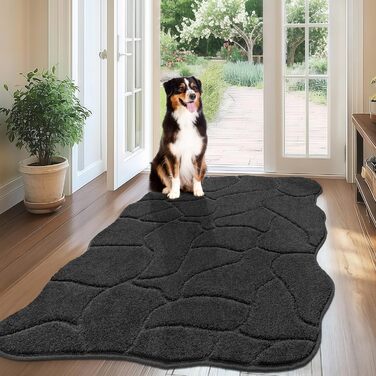 Килимок для дому 50x80 см, антиковзаюча, миється, для входу, тераси, саду, внутрішній килимок