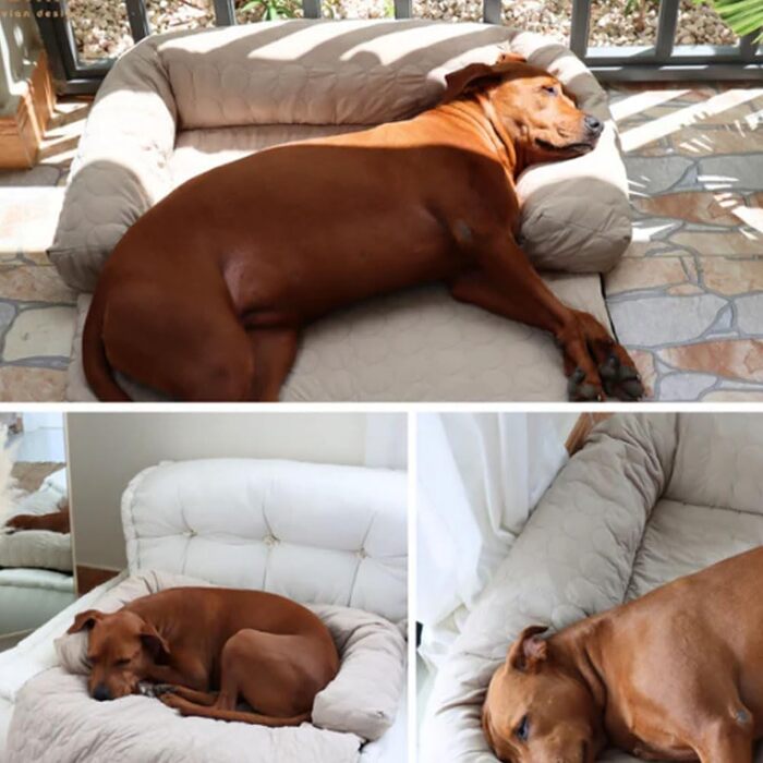 Охолоджуване ліжко для собак на диван, вологостійке, миється, з неслизьким дном, для дому, авто (Кофе, M(70*70см))