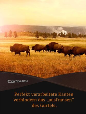 Шкіряний ремінь чоловічий Gold Edition, натуральна шкіра, 38 мм, коричневий, 100 см (Made in Germany) з подарунковою коробкою
