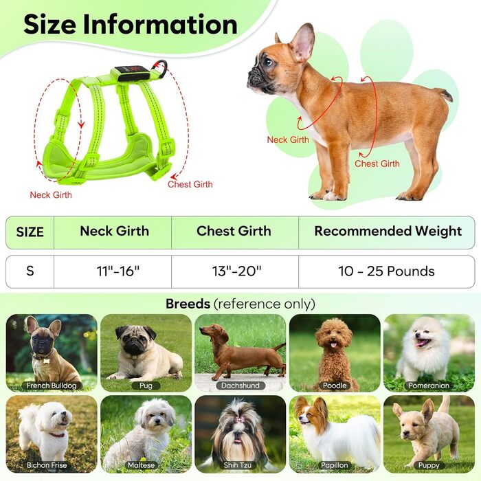 Світловідбиваючий LED нашийник для собак, USB-C, для маленьких собак, XS-S, для прогулянок вночі