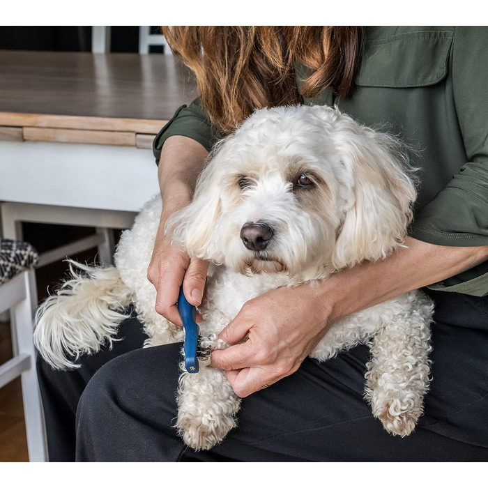 Mikki Slicker Brush - щітка для розгладження шерсті собак та цуценят, для пуделів та їх гібридів (Cockapoo, Labradoodle, Cavapoo, Maltipoo, Golden Doodle), з нержавіючої сталі