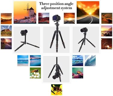 Штатив ZOMEI Q666 для камери: алюмінієвий, 155 см, 3-в-1 (штатив, макроштатив, монопод), з кульковою головкою 360° та швидкою платформою 1/4'