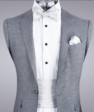 Комплект краватка-хустинка Alizeal Paisley сріблястий, чоловічий, однорозмірний