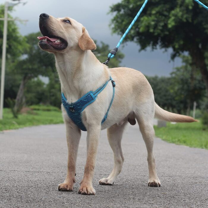 Шлейка для собак середніх та маленьких порід, цуценят, анти-тяга, безпечна, світловідбиваюча, м'яка, регульована (S, блакитна)