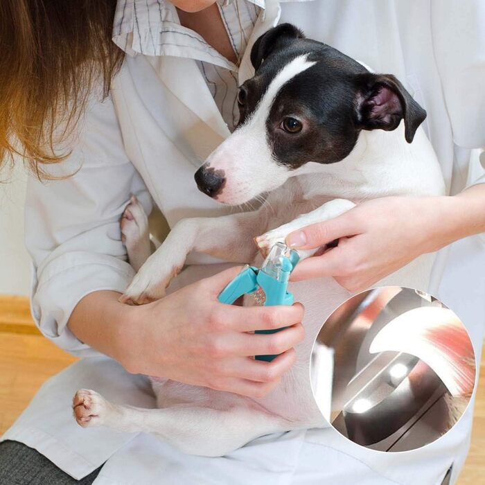 Триммер для когтів домашніх тварин з LED-підсвічуванням: для собак та котів середніх та маленьких порід. Професійний триммер для когтів з гострою клинком та безпечним білим/блакитним LED-світлом.