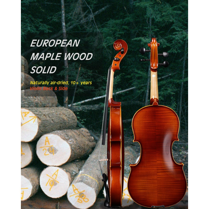 Скрипка Aileen 4/4 для дорослих та початківців, набір для дітей від 12 років, скрипка з цільної європейської сосни з підставкою для нот