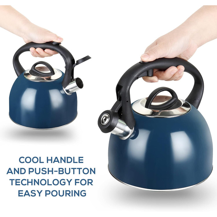 Чайник-свисток 2,5 л з нержавіючої сталі для індукції, газу, з емальованим покриттям (блакитний)