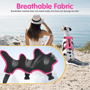 Світловідбиваючий нашийник для собак Jewyow з LED, перезаряджуваний, м'який, регульований, водонепроникний, для середніх та великих собак, зелений (рожевий, M)