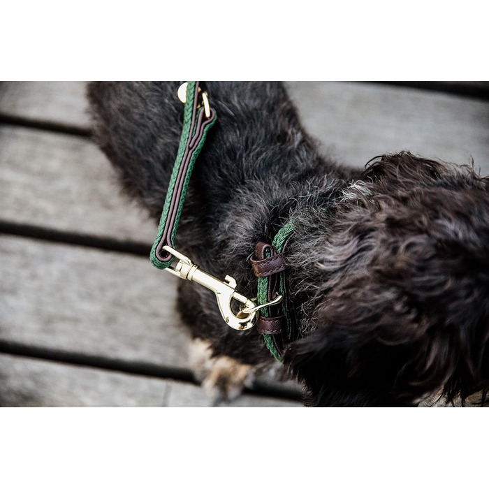 Нашийник для собак Kentucky Dogwear, плетений нейлон, оливковий, розмір S, 42 см