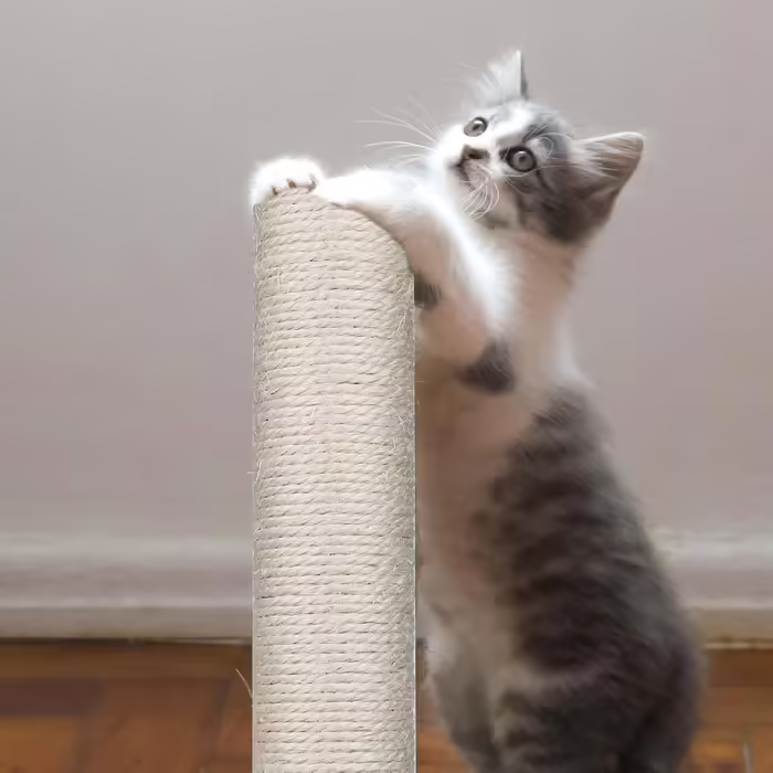 4 Replacement Scratching Post Stems, 40 cm Replacement Parts Scratching Post Stems with M8 Screws Cat Tree Scratching Post Scratching Post Sisal for Kittens Cat Tree Tower