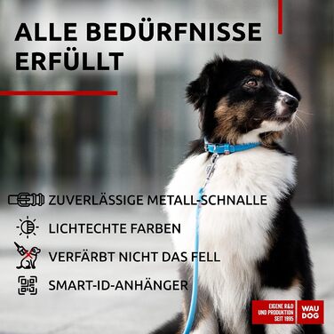 Нашийник для собак WAUDOG з натуральної шкіри, 20-25 см, 8 мм, блакитний