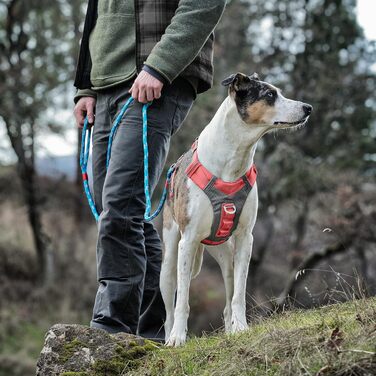 Шлейка для собак Kurgo Journey Air, жилет-шлейка, шлейка для собак для прогулянок та бігу, світловідбиваюча, з м'якою підкладкою, з ручкою для контролю, без кліпси для фіксації спереду (Помаранчевий, ) (Кораловий, Середній)