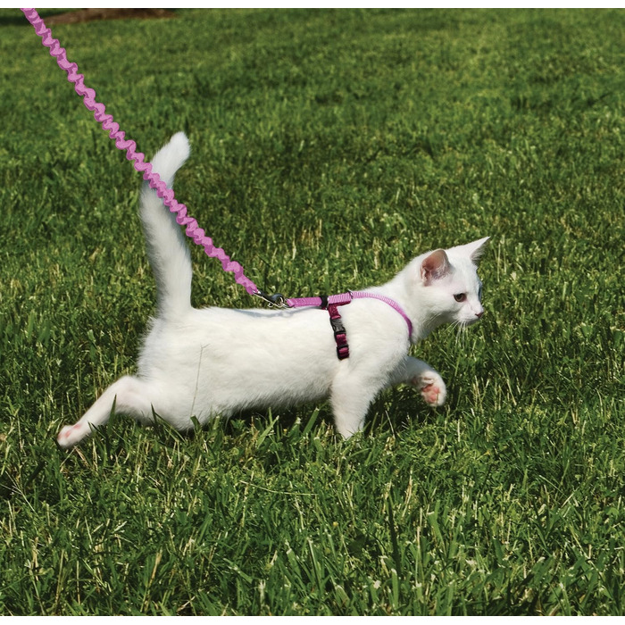 PetSafe Come with Me Kitty Harness and Bungee Leash, Harness for Cats, Size M, Red/Cranberry, Model: CWMK-M-RED (Light Pink/Burgundy, Small (Pack of 1))